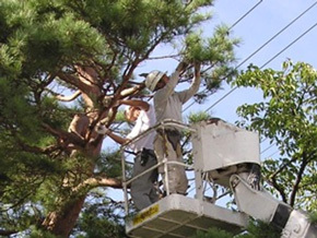 有限会社 高橋造園土木