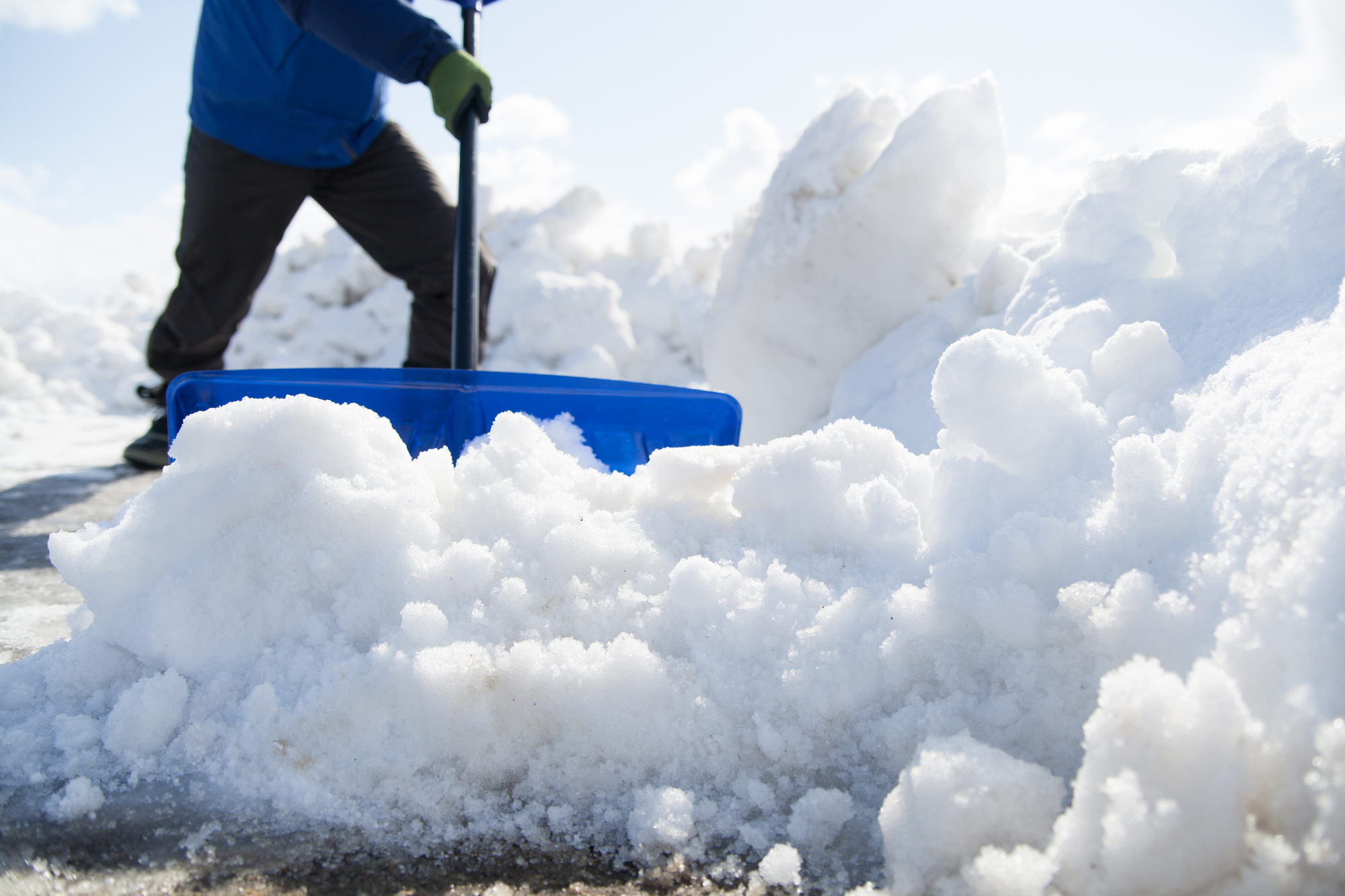 一斉除排雪活動事業
